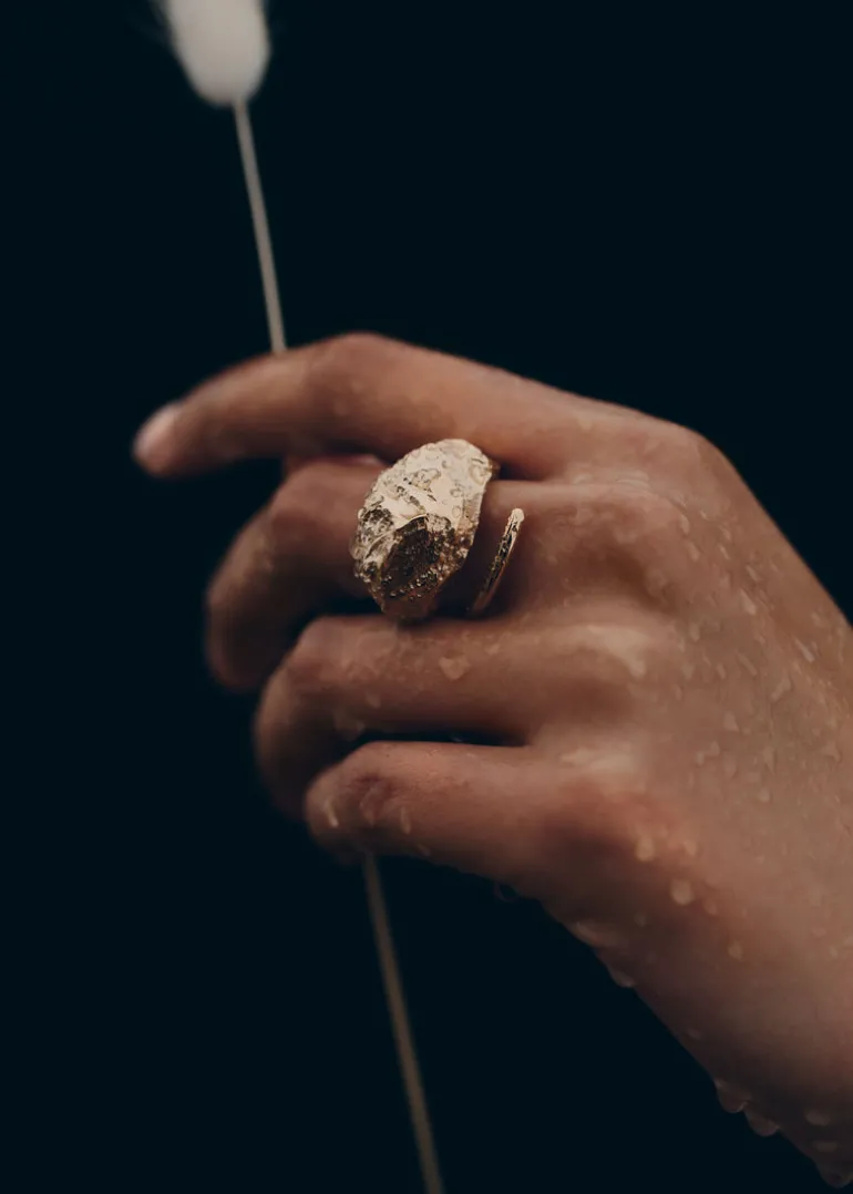 Bague Eroz