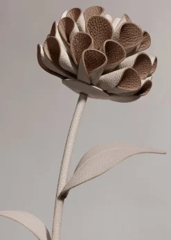 Fleur Dalium