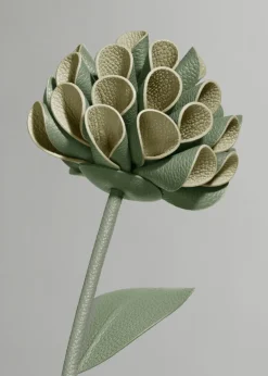 Fleur Dalium