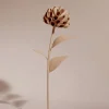Fleur Dalium