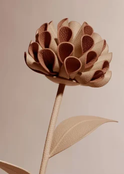 Fleur Dalium