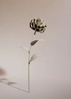Fleur Dalium
