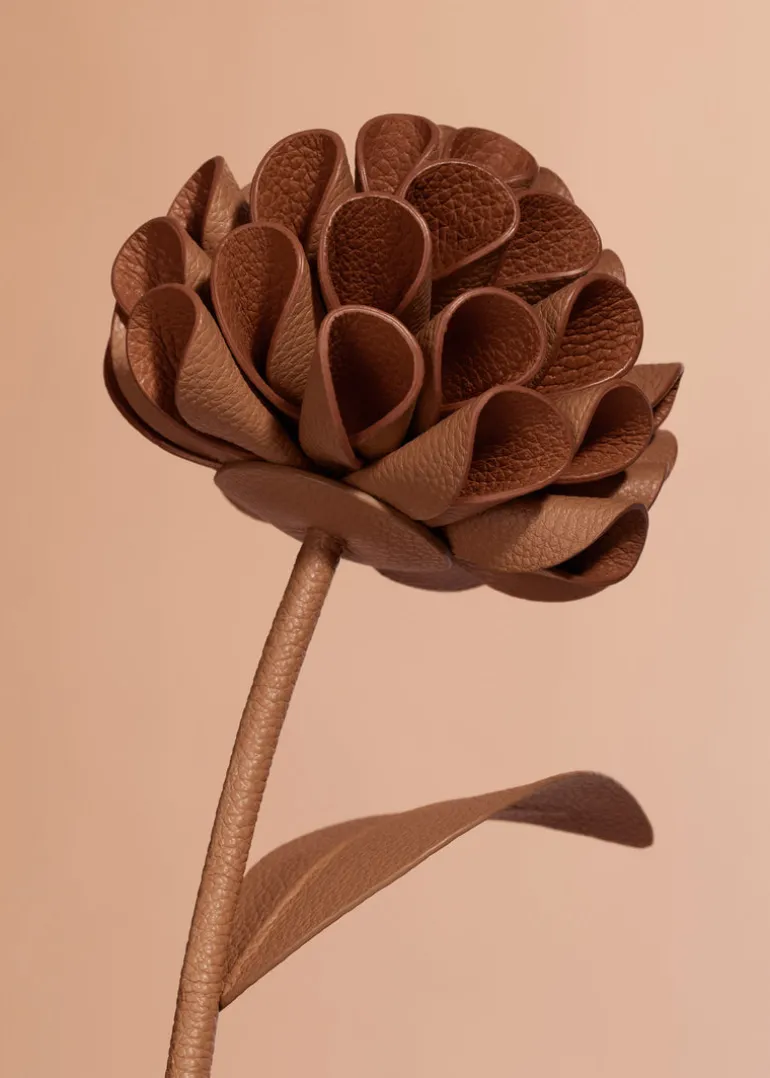 Fleur Dalium