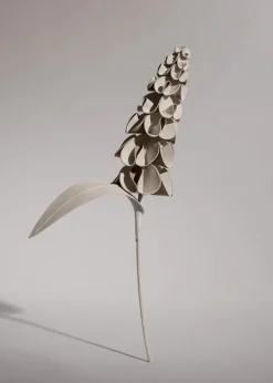Fleur Orki