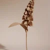 Fleur Orki