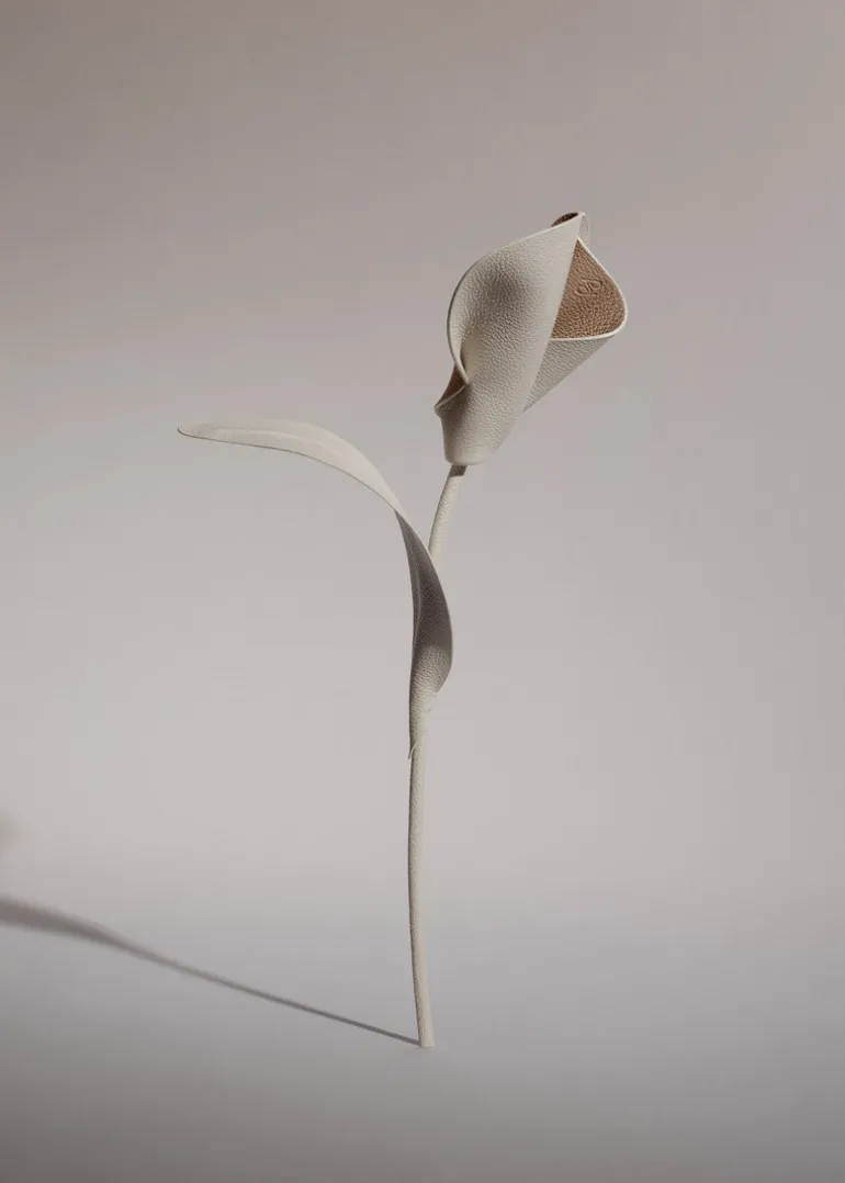 Fleur Pili