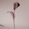 Fleur Pili