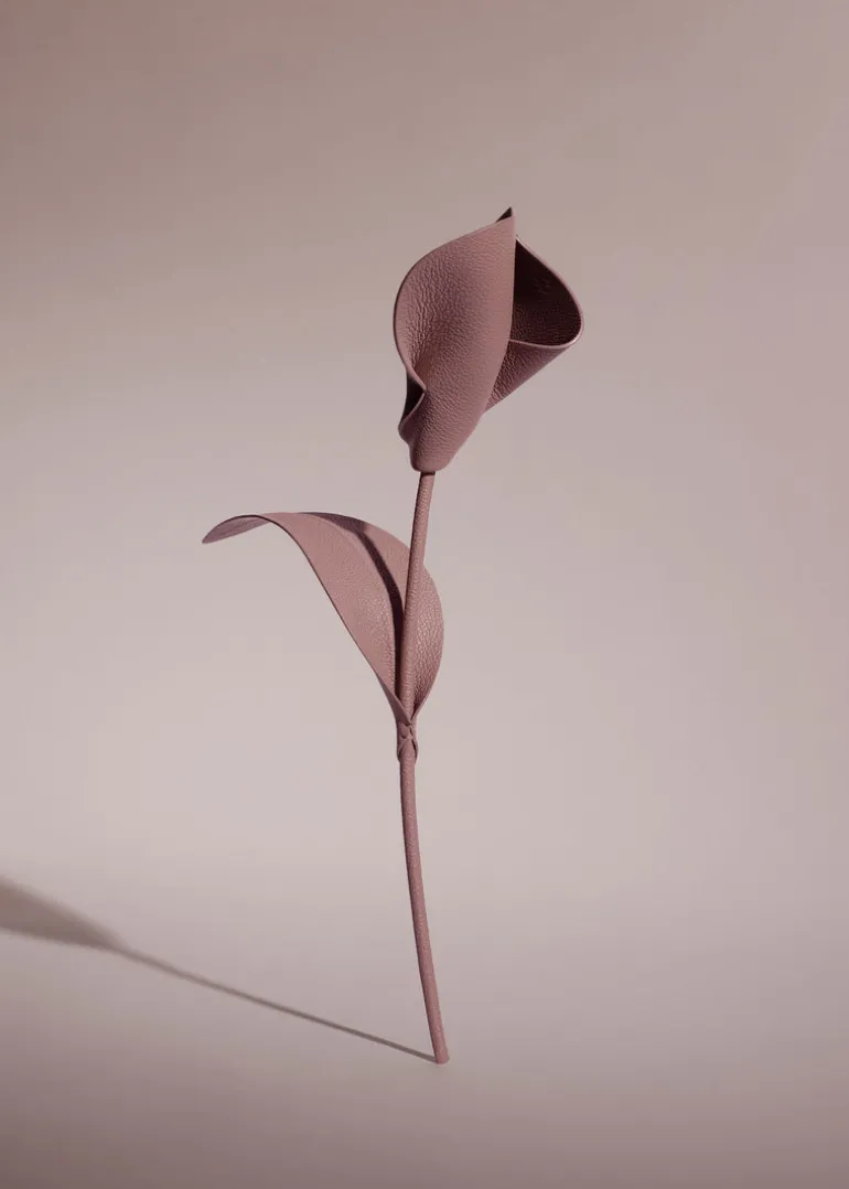 Fleur Pili