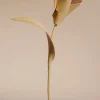 Fleur Pili