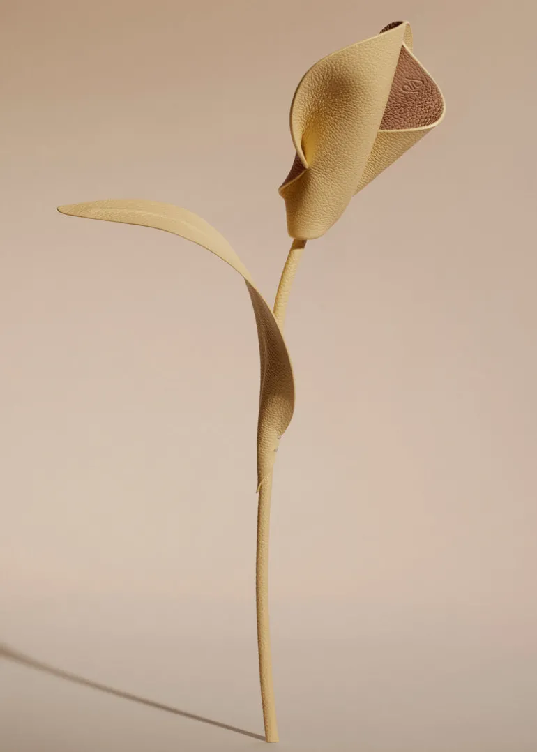 Fleur Pili