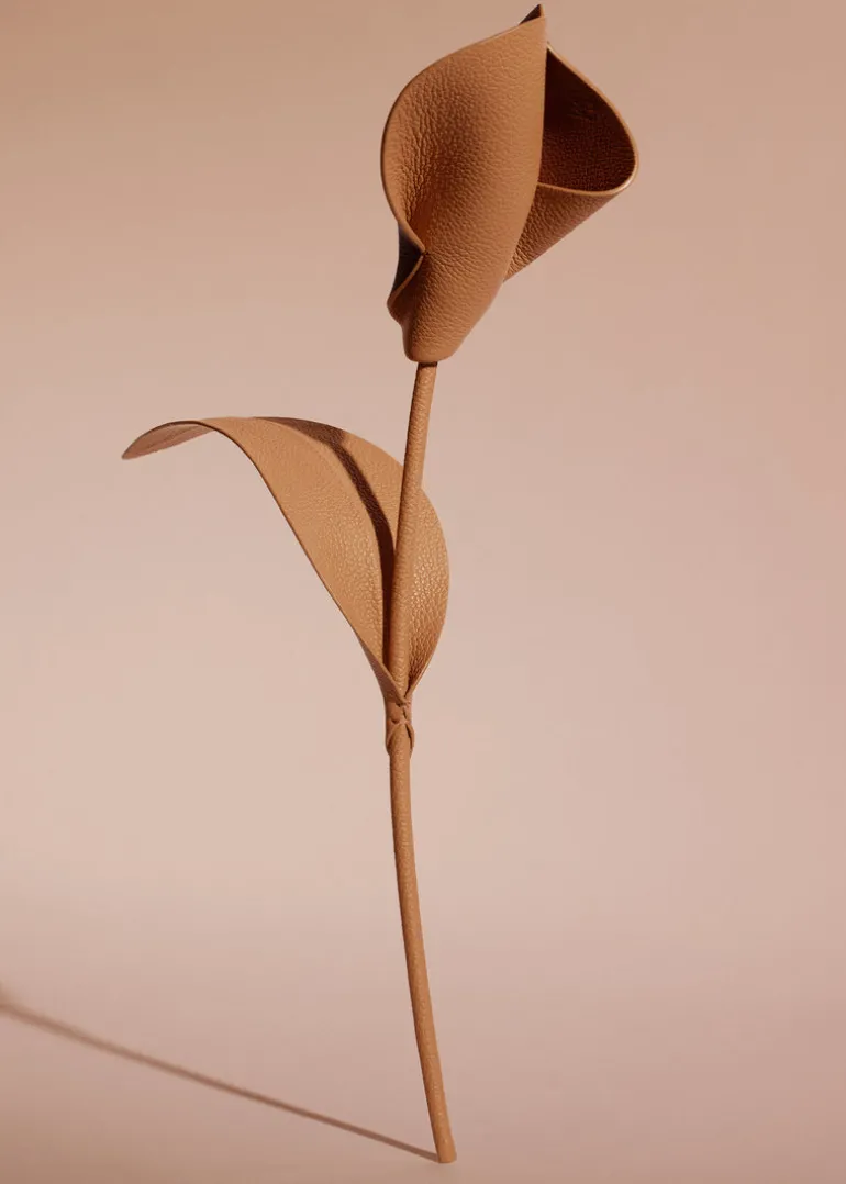 Fleur Pili