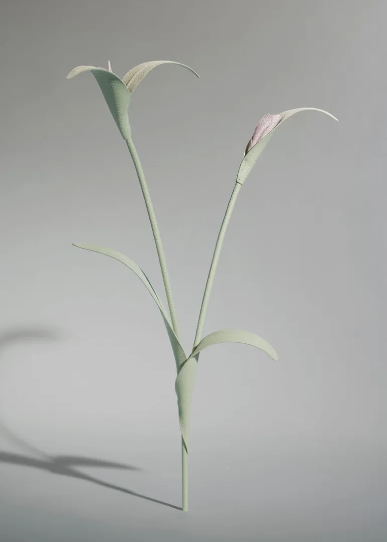 Fleur Touka