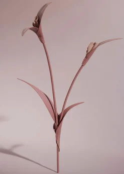 Fleur Touka
