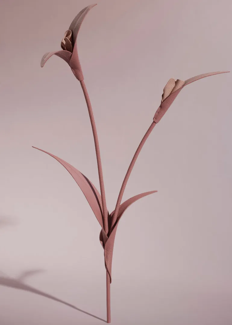Fleur Touka
