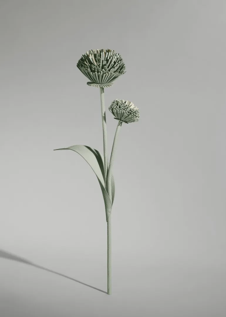 Fleur Tul