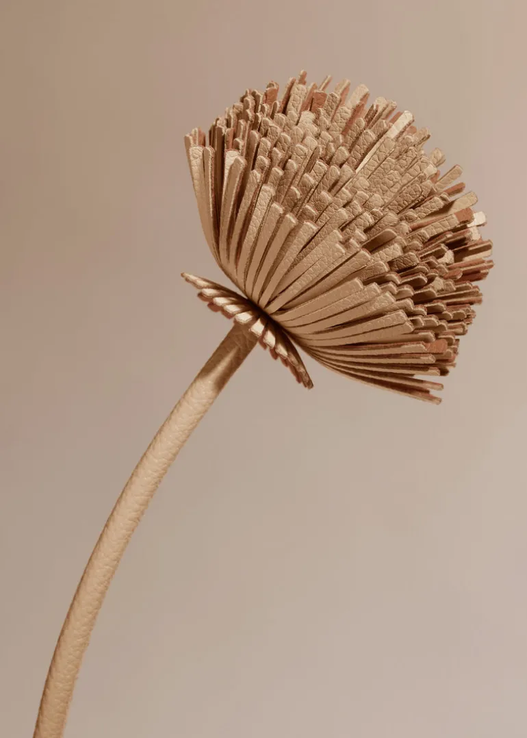 Fleur Tul
