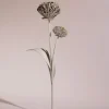 Fleur Tul