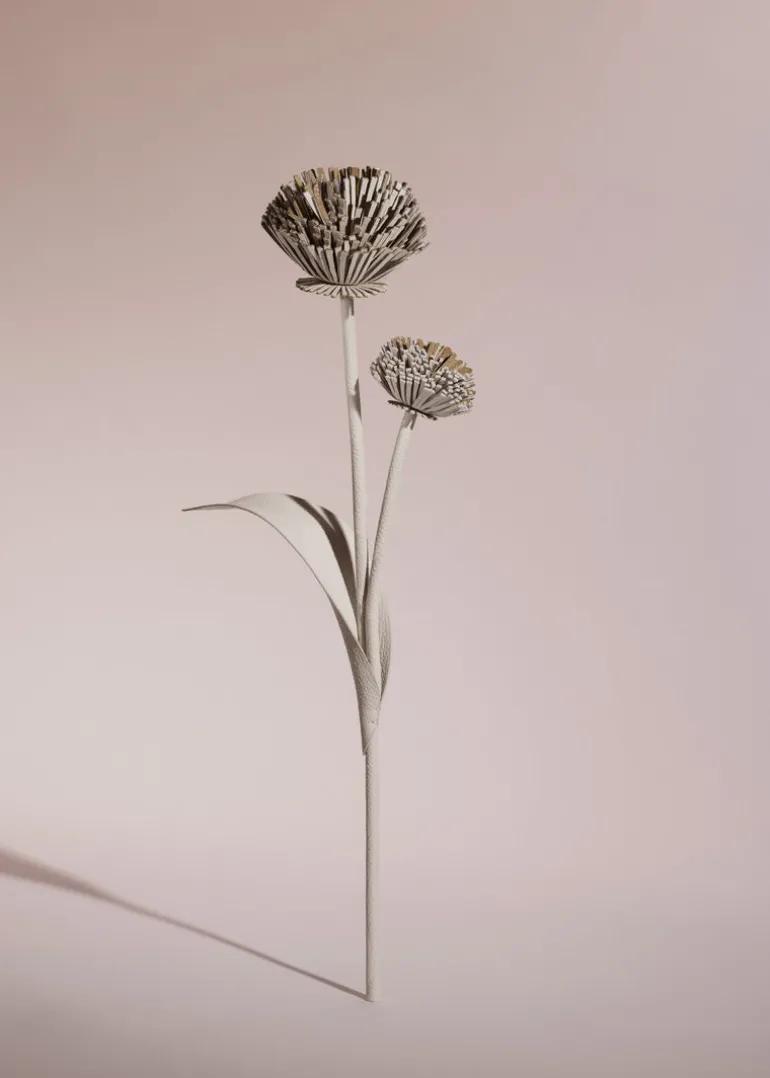 Fleur Tul