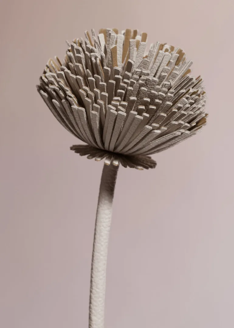 Fleur Tul