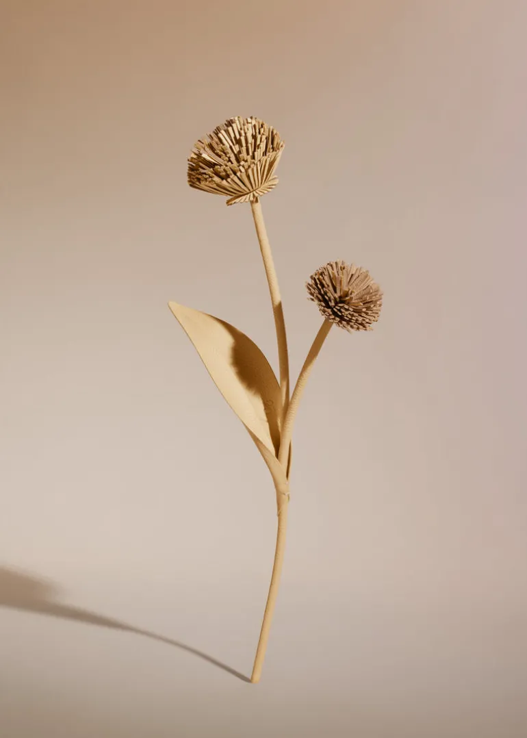 Fleur Tul